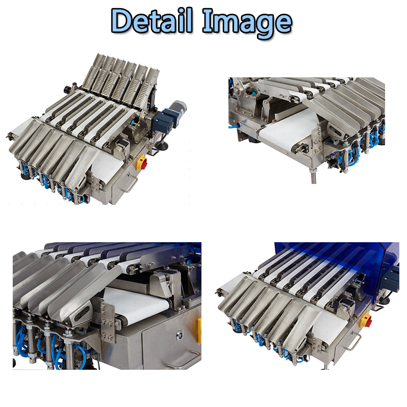 Assembly Line Dynamic 4-lines Multi-lane Checkweigher Weight Checker ...